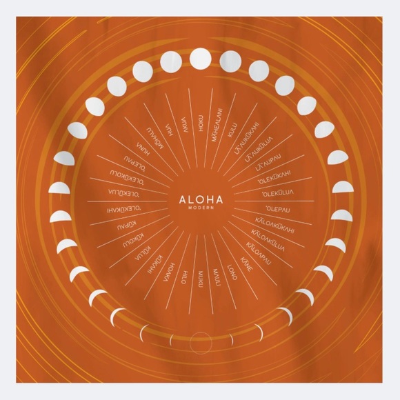 aloha modern Other - NWOT Aloha Modern Towel Beach Blanket